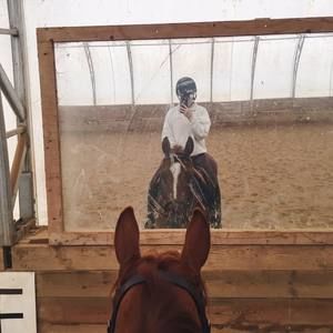 Meet your Posher, Danielle